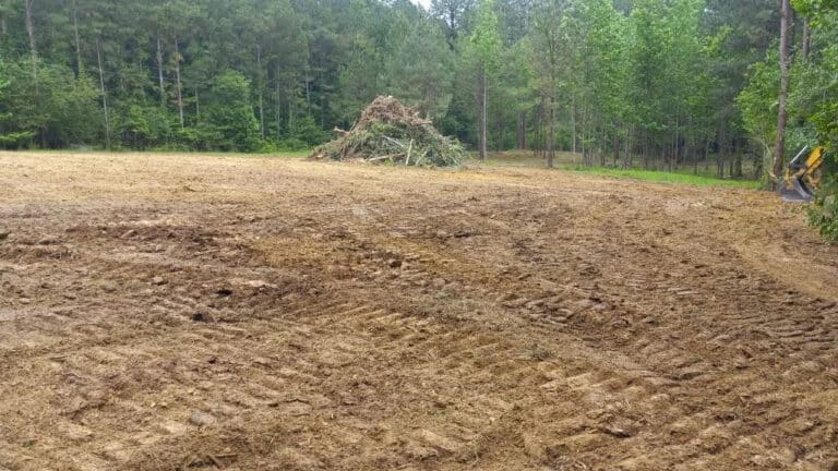 Land Clearing in Mississippi: How Much Does It Cost?